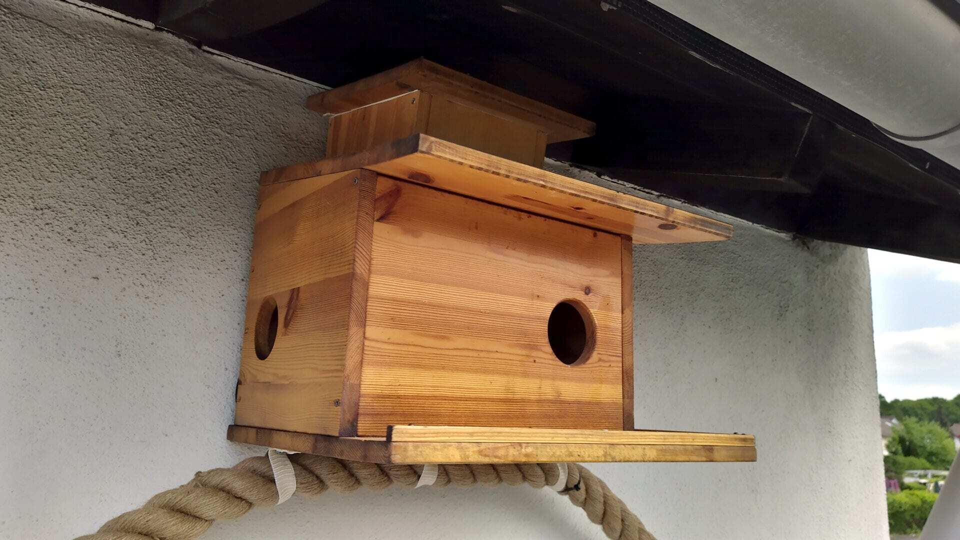 Kobel im Garten