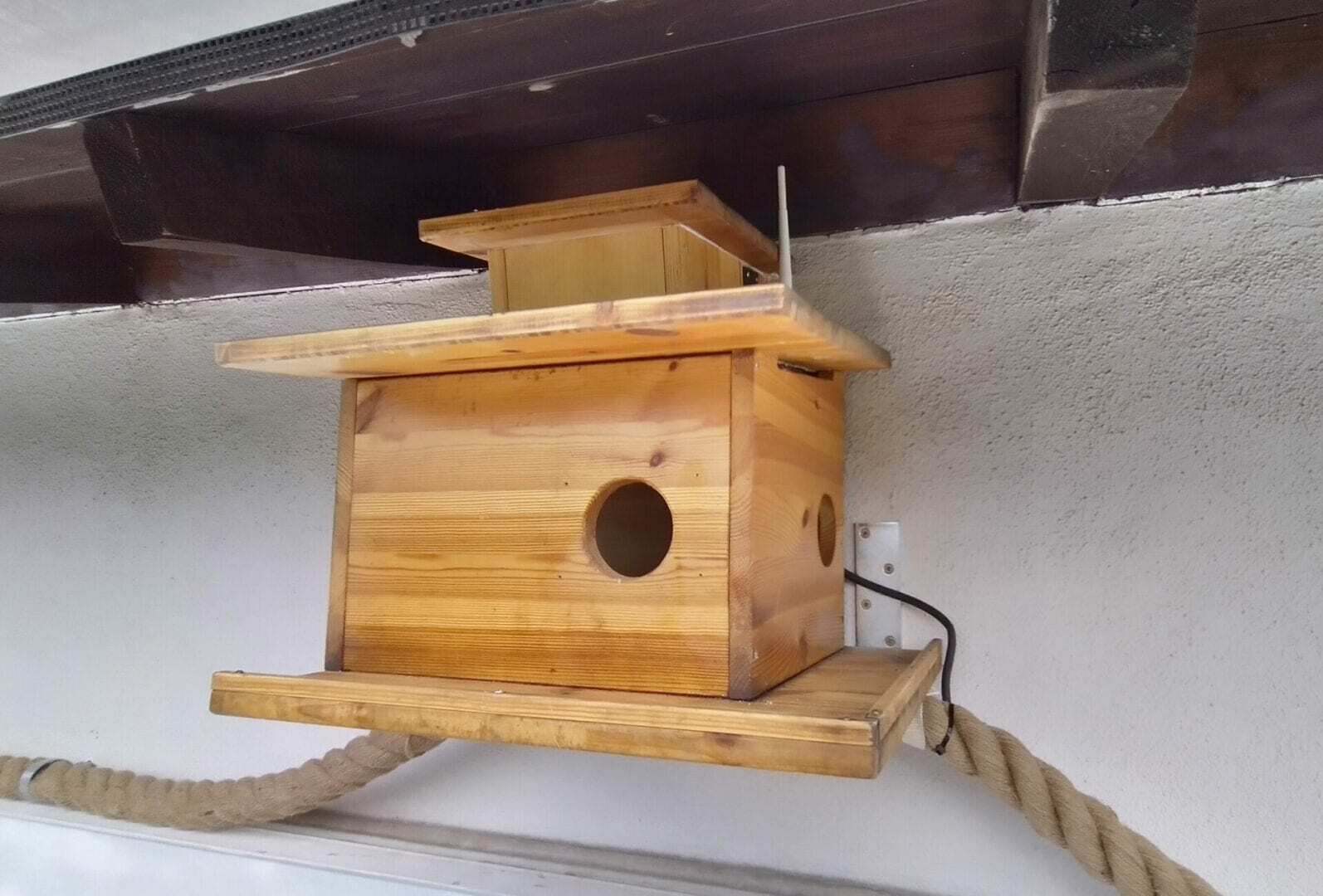 Eichhörnchen-Kobel